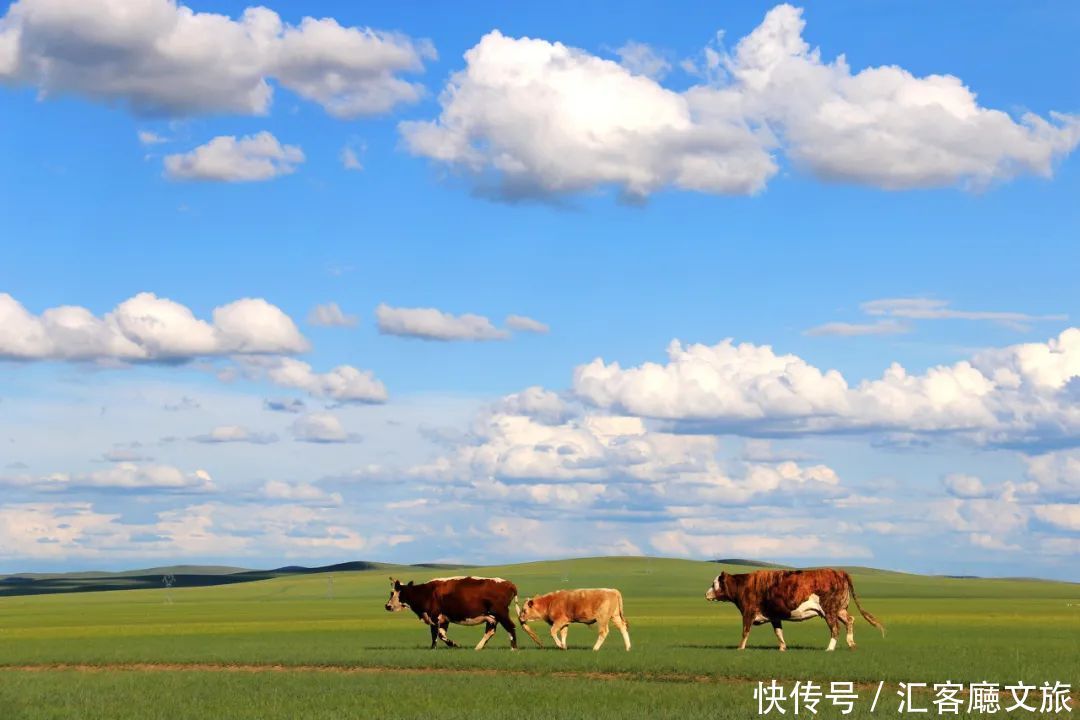 套娃|比巴黎浪漫，比俄罗斯童话，中国“最北”藏着一座宝藏城市