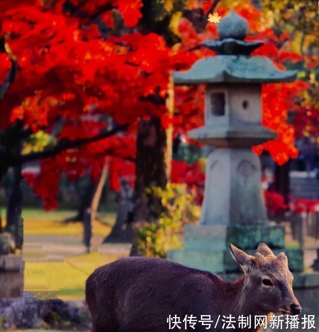 度宗咸淳$诗僧笔下的秋天，不仅有最美的秋色，还有浓浓禅意，令人回味无穷