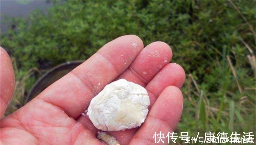 鲫鱼怕高温,夏季不易钓,多用这些招数,轻松钓到大鲫鱼!