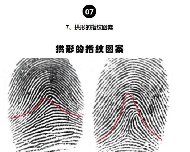 等位基因|罕见的身体特征只有少数人身上才拥有的10个罕见的特征