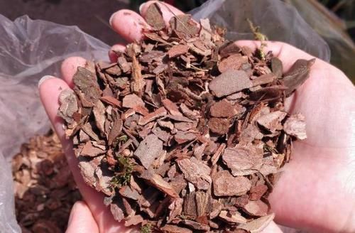 花盆|什么东西适合养花?这些宝贝,帮搞定花盆、花土、花肥问题