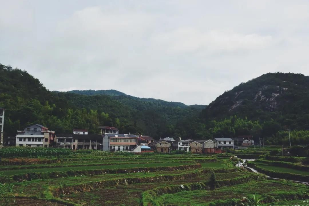 烟雨蒙蒙|初夏，最美不过天台白鹤的烟雨