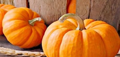 南瓜|夏天不想衰老，推荐吃的好食物，养护血管，延缓衰老，越吃越好