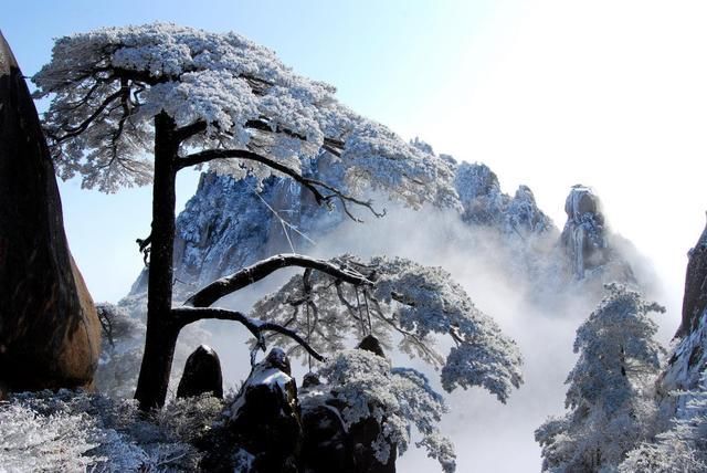 冬游黄山，不可错过的宝藏级奇景!|品味皖美冬韵| 黄山