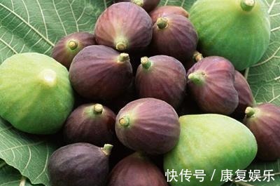 无花果|乡下一种野果,没熟吃了烂嘴, 食用价值高,营养很丰富,价值珍贵