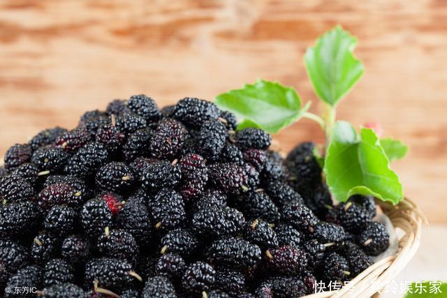 花生|花生煮水喝可以降血糖吗医生给了句大实话,这个食疗方才有效!