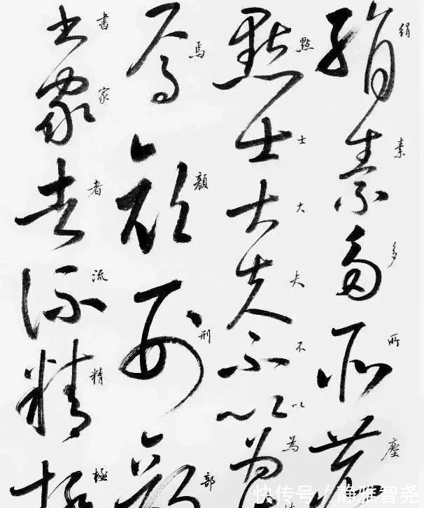 自叙帖#启功的草书也不错,笔法精湛,线条匀净,粗细均匀,是“硬功夫”