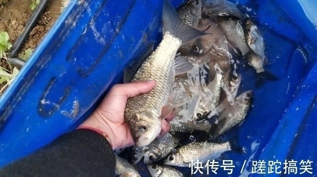 野钓|秋冬季野钓的真实状况,没多少人愿意讲实话,因为现实很残酷