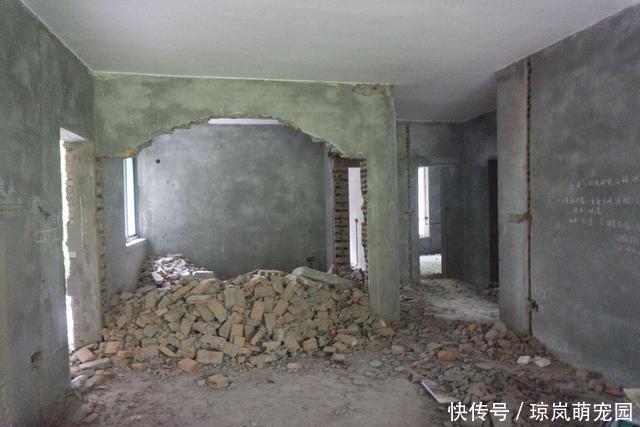 乳胶漆|五年前装修时为了省钱做的7个决定，现在越看越喜欢