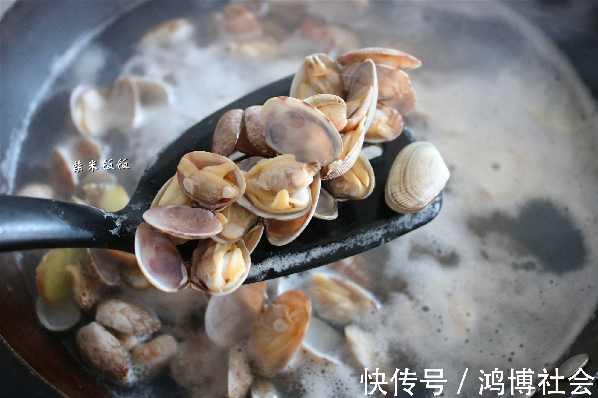 麻辣花蛤|花蛤吐沙,只放盐太慢了!多两步,吐得又快又干净