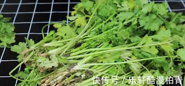 袋子|把香菜放在袋子里，放一年也新鲜，和刚买的一样，一年买两次就够