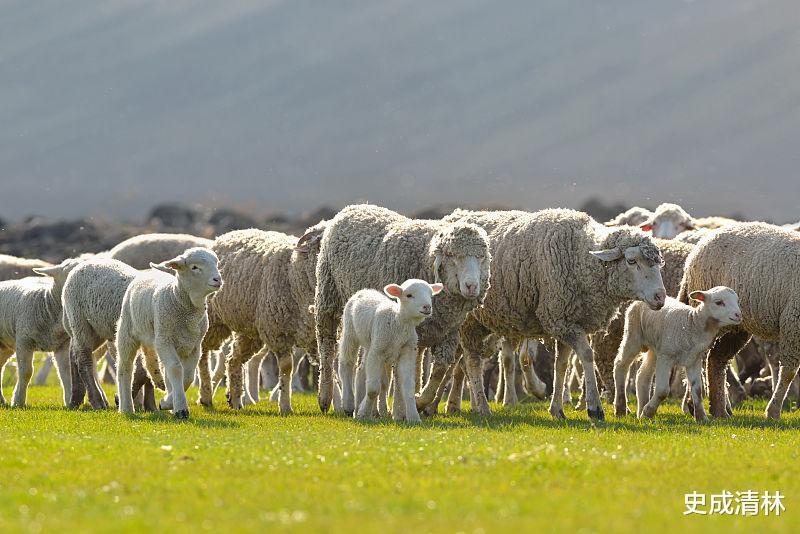 双喜临|生肖羊人,9月双喜临门,大富大贵,升官发财