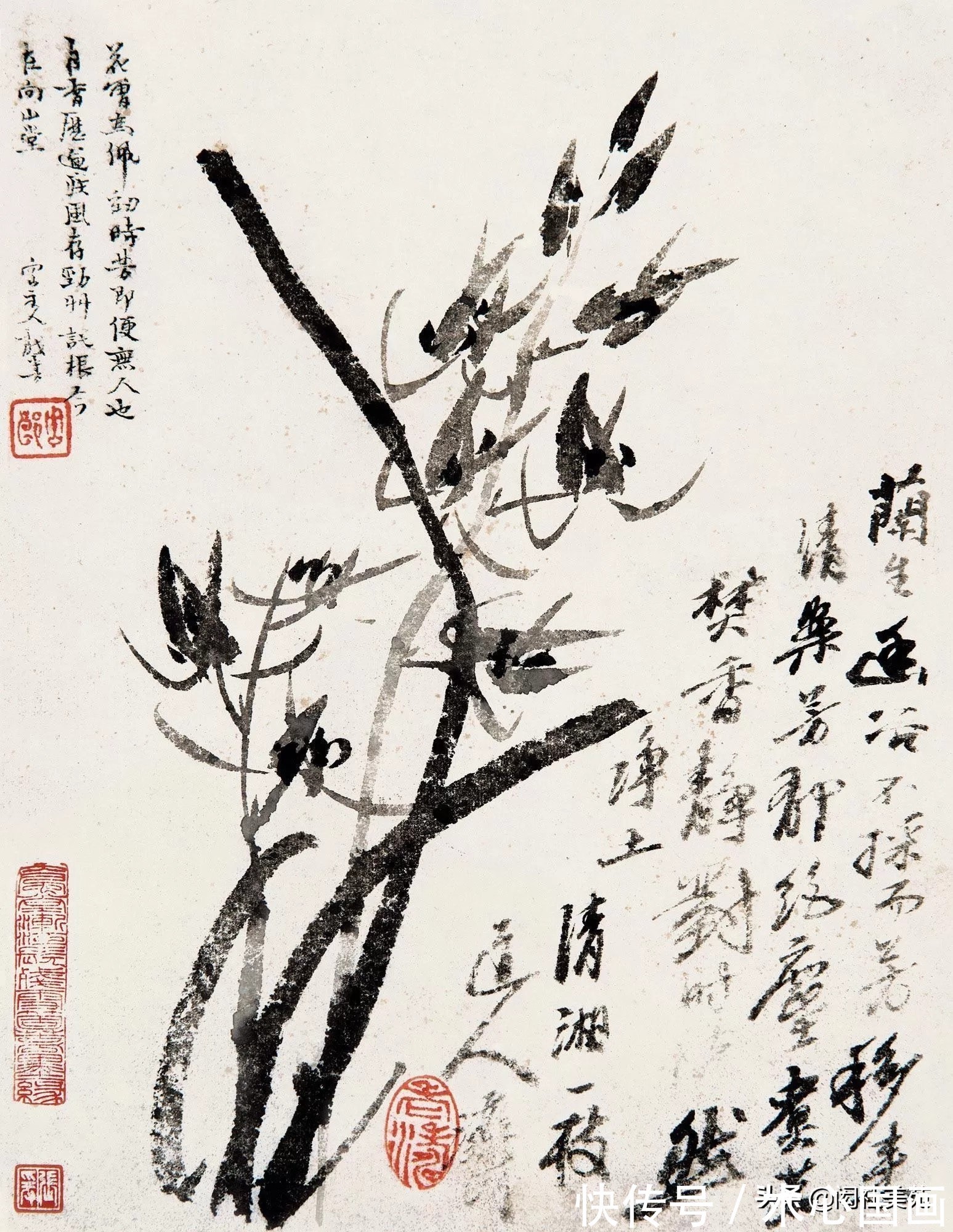 素心!兰画兰诗两芬芳