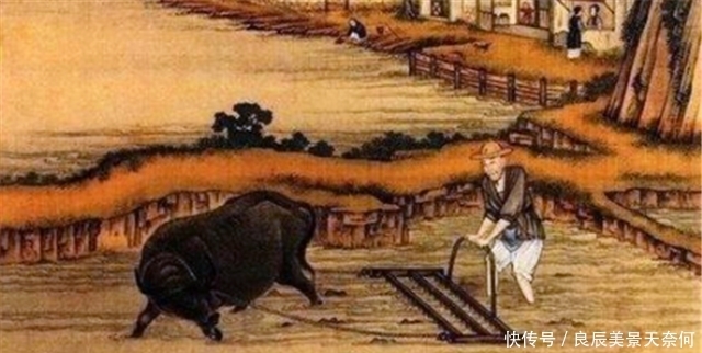 时期|换个套路保护牛:谈报应,讲道理,古代禁止杀牛有妙招