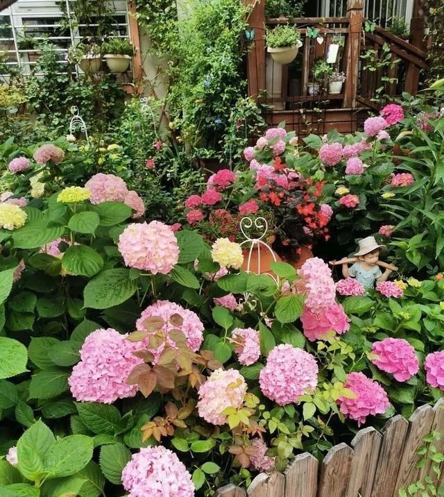 有了30平方的小院,能将日子过成了诗简单而精致,优雅而从容