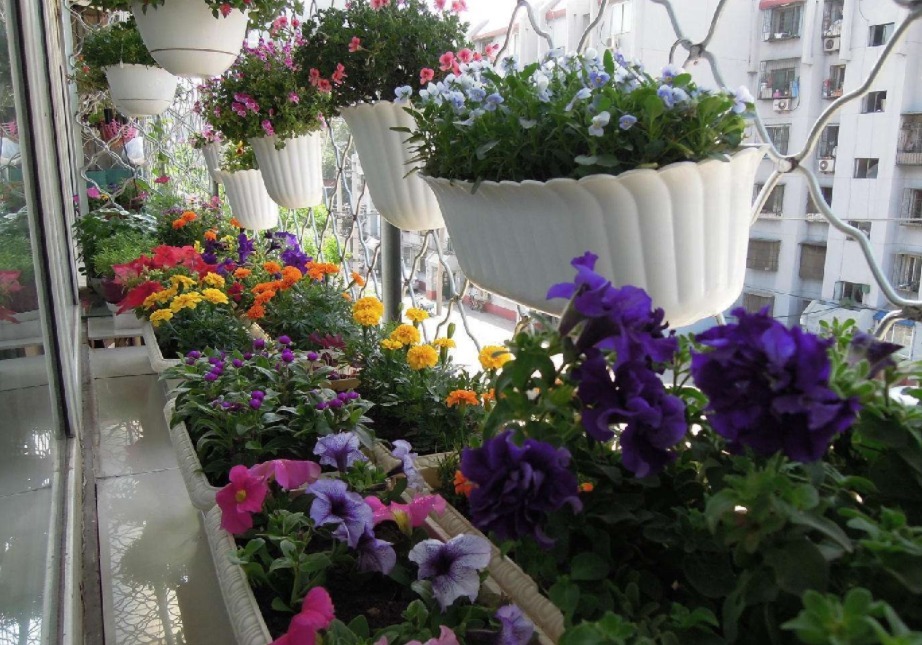 土质|养花，戒掉这些坏习惯，养啥花都简单，爆盆不成问题