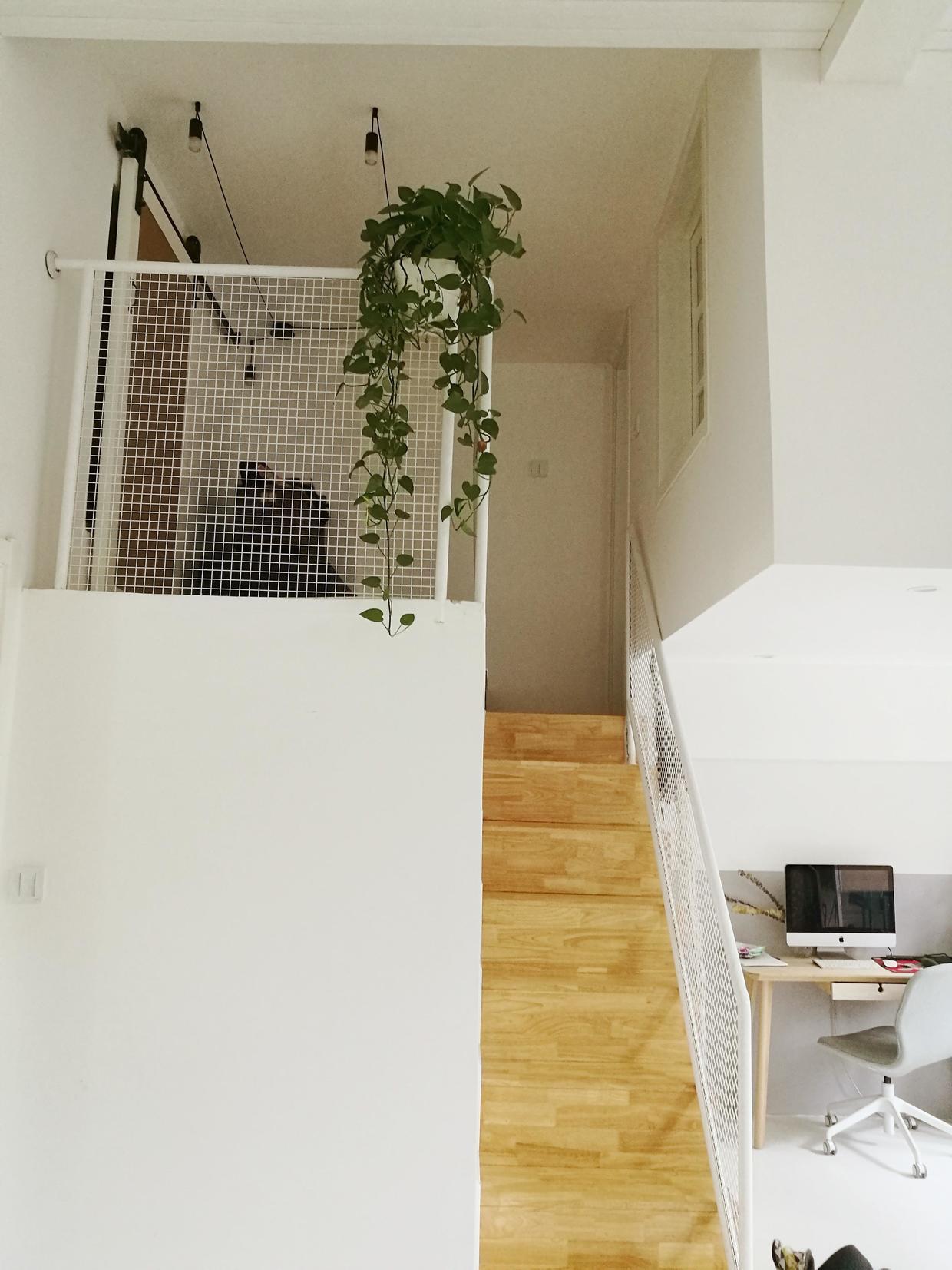 改造|她买下学区房,76㎡挤出8个房间,一层爆改两层,邻居都看呆了