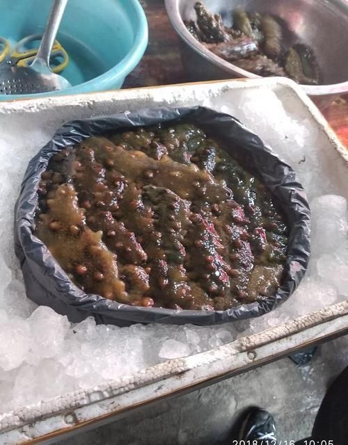 哪里海鲜好吃？