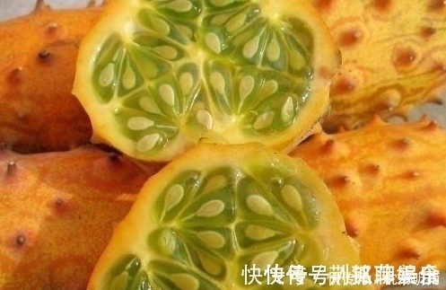 刺角瓜|原产于非洲的水果,引进我国后不受重视,现在才知味道好营养高