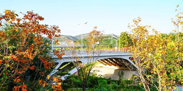 带你走进山东大学，在那里学习是什么样的体验