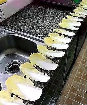 完美|4岁男孩帮妈妈剥菜,看到“完美作品”后,网友应该是强迫症