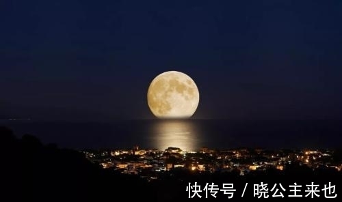 枝叶&两首描写秋月的小诗,充满生活情趣,更值得细细揣摩