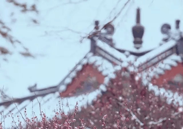 飞雪|精选十首宋词, 品味挥之不去的相思