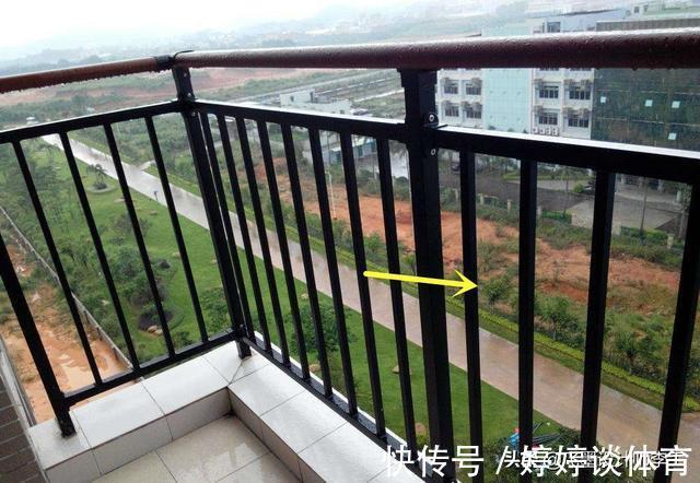 物业|小区不准封阳台，为了孩子，我花80块钱铺层防护网，物业也夸安全