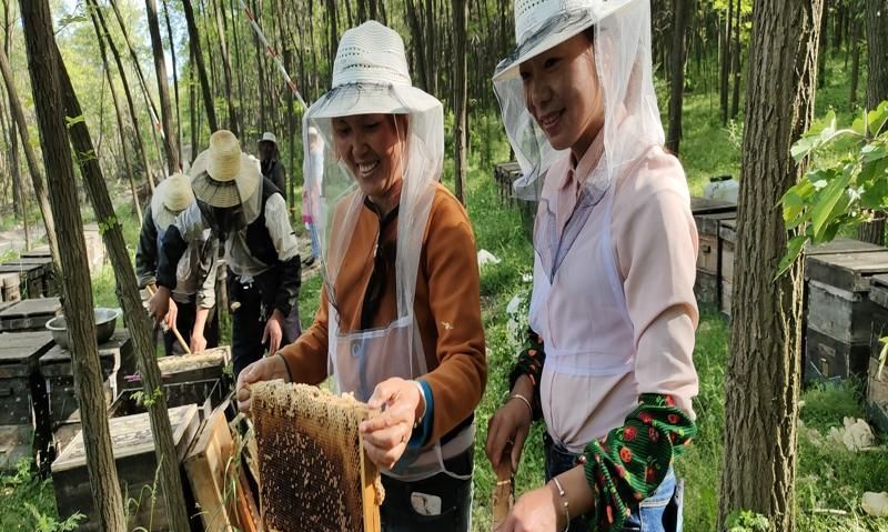 小脚掌|又到初夏日，山村槐花香