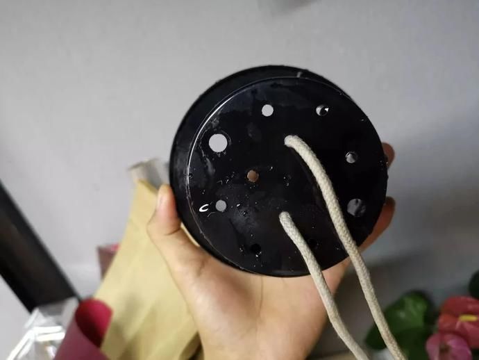 家里的土培盆栽轻松转水培,避免黄叶烂根有技巧,技巧全告诉你