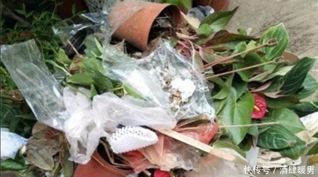 花市垃圾桶内捡1堆花,回来处理一下,就能养成漂亮的盆栽!