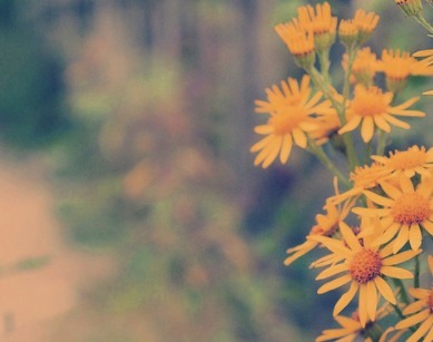 晴风|你以为的养生,其实是假的,真正的养生只有两个字