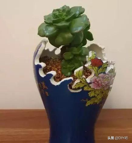 花盆不用买喝剩下的酒瓶，简单一改造，比买的花盆还漂亮