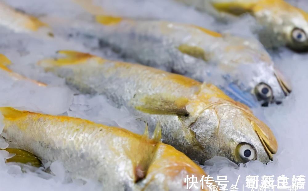 优质蛋白|才知道，这4种鱼营养价值高，市场看见别错过，一次可以多买几斤