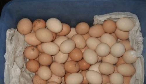 回家|鸡蛋买回家别再放在冰箱了教你一个小窍门,鸡蛋放再久也不会坏