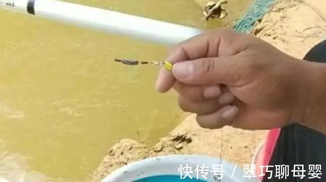 窝料|不用打窝也能狂拉不断,老钓友用这方法,一天钓几十斤!