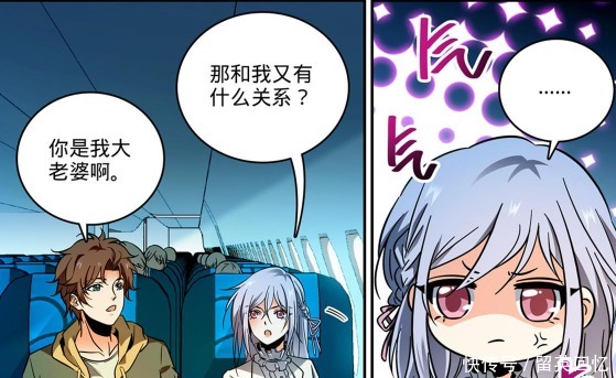 全职|《全职法师》单从女主的设定这一点,就能看出乱叔写作的与众不同