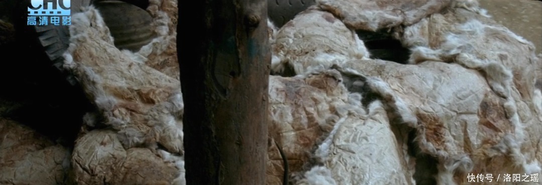 揭露|16年了，这部揭露“剥皮”生意的电影还是不敢看第二遍