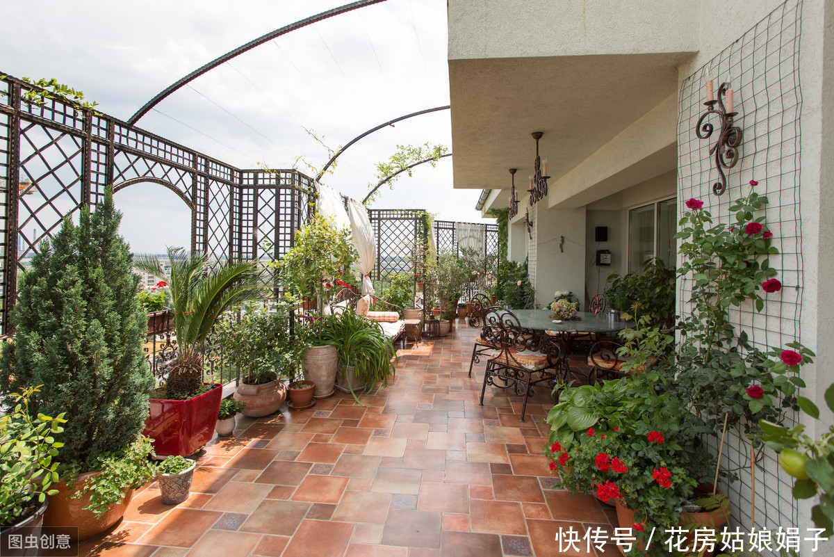 阳台|阳台养殖盆景花卉,7个原则要遵守,才能花开满阳台