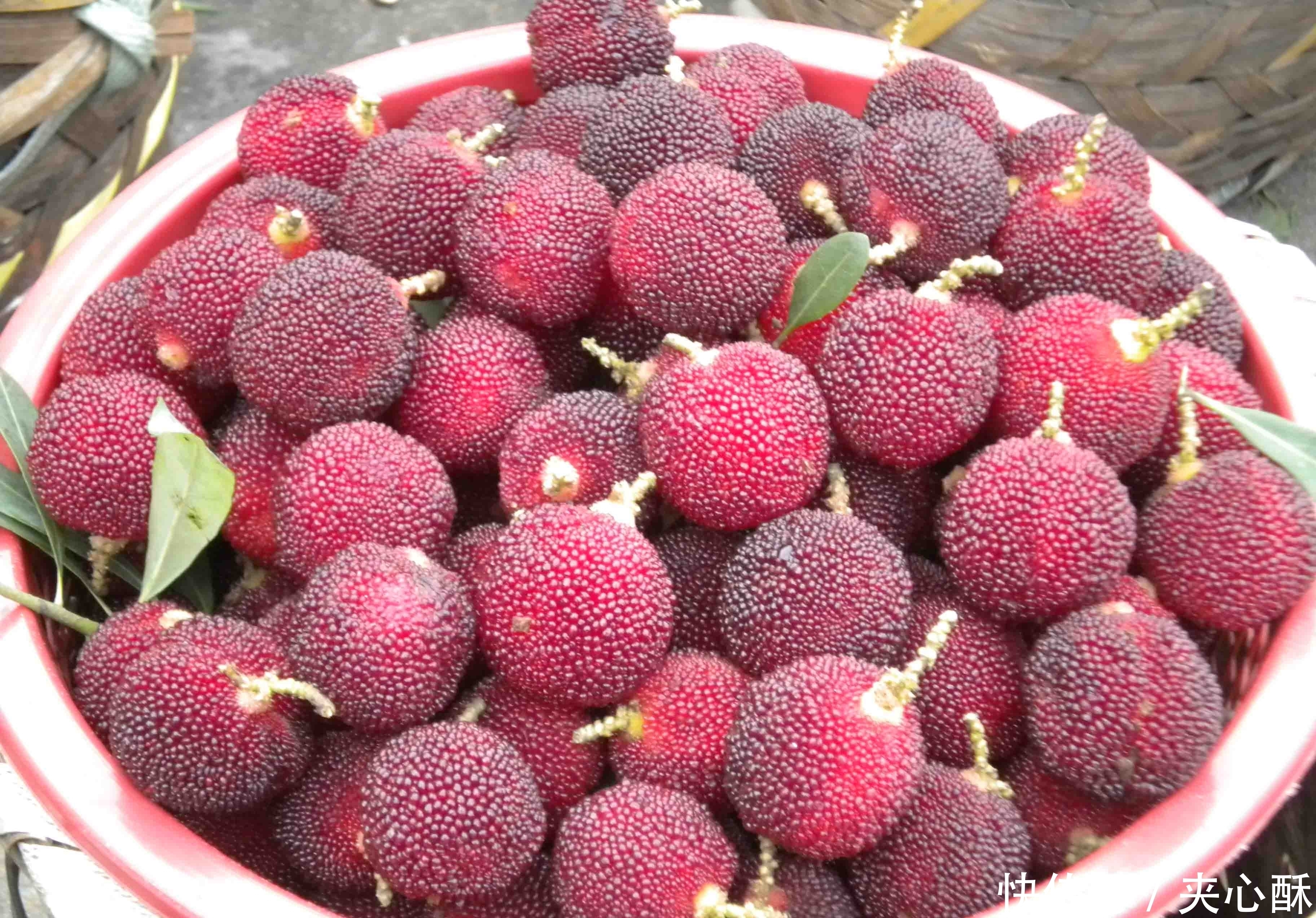 杨梅|常吃杨梅的人,身体不会差,但切忌与一物同食,却有多人不清楚