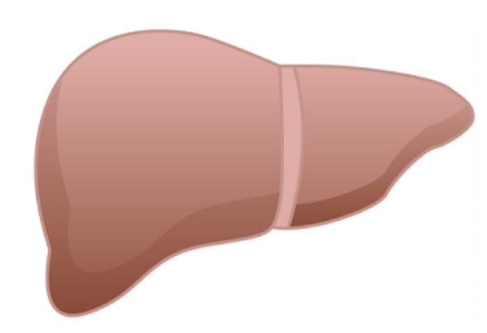 肝脏|肝部变脏,会出现4个异常,坚持“七个一”,给肝洗洗澡,排排毒