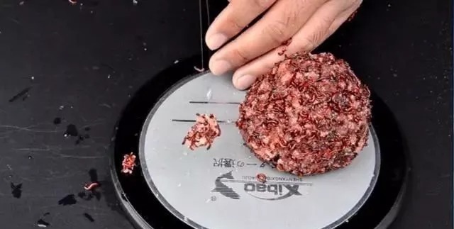 自制2种红虫伴侣,用一冬花不了10元钱,开饵效果还更好