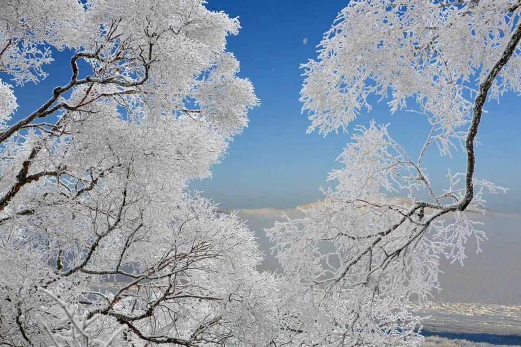 胜地|宝鸡这里雪景迷人，岭南公园成网红打卡胜地！