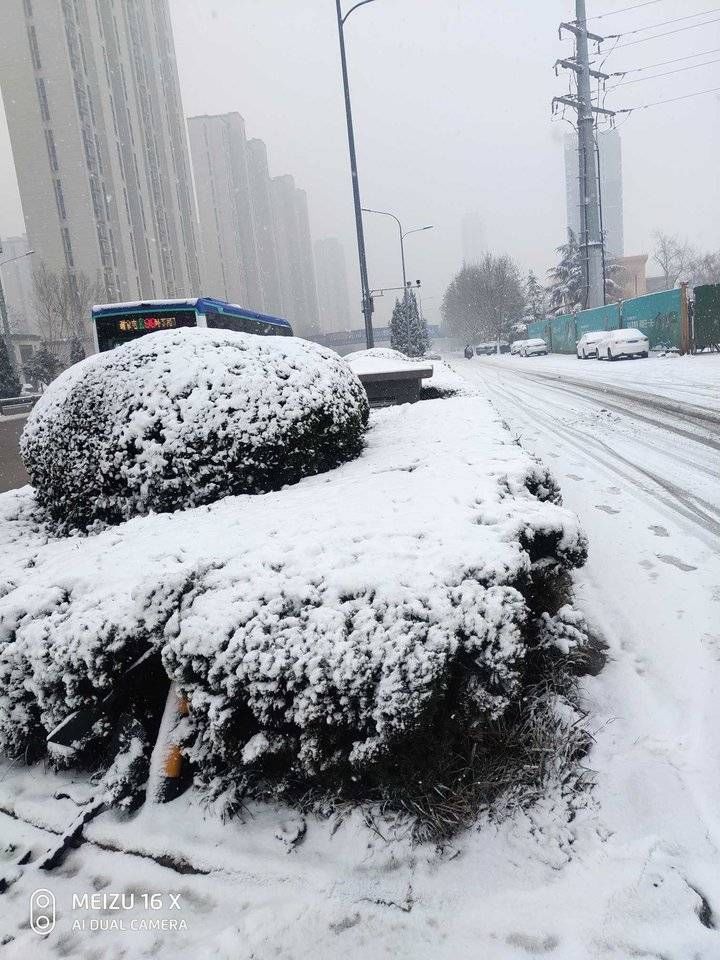 雪天|济南雪天踏雪行