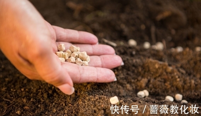 碗莲|6种花草根本不值得花钱，老花匠良心总结，被骂也要公布