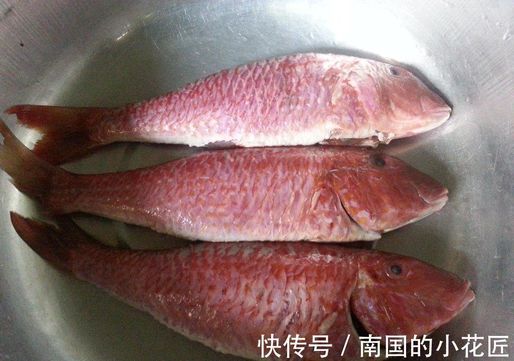 脂肪含量|三伏天,再节约也要多吃这“伏天5鲜”,应季而食,全家顺利过伏