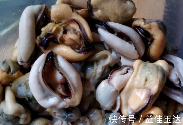 蒸海虹|被称为“春天第一鲜”，10块钱买5斤，鲜嫩营养高，不懂吃可惜了