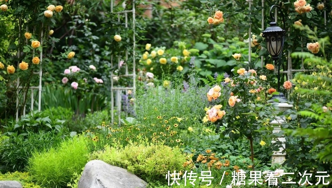 王俐|服装设计师兼花园设计师,裁剪最美的花园时光