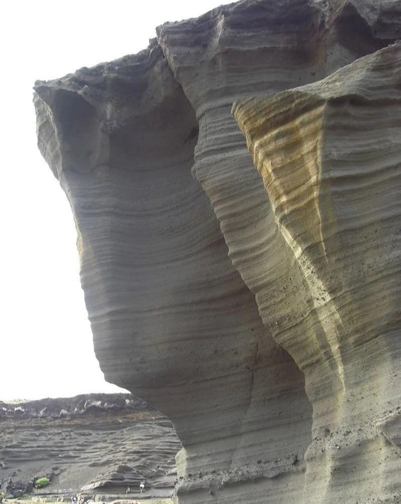 碳酸盐岩|经典地质图集，彻底搞明白碳酸盐岩