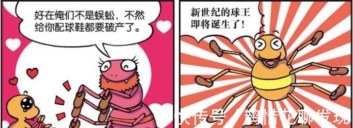 呆头|爆笑农场:白吃村与白喝村举办运动会,呆头你找了些什么运动员?